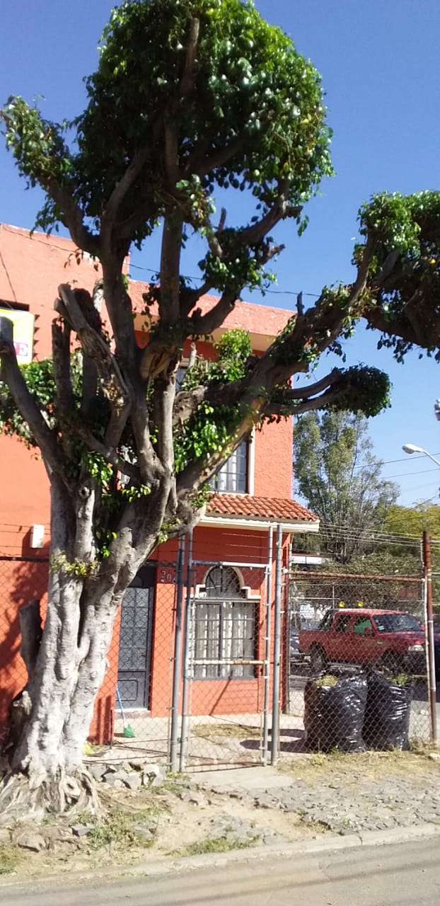 Viviendas En Hidalgo Tlaquepaque Comprar Inmuebles En Hidalgo Tlaquepaque Nestoria