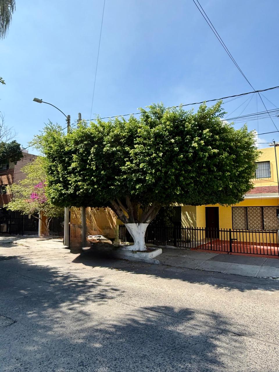 CASA EN RENTA EN JARDINES DEL COUNTRY, GUADALAJARA